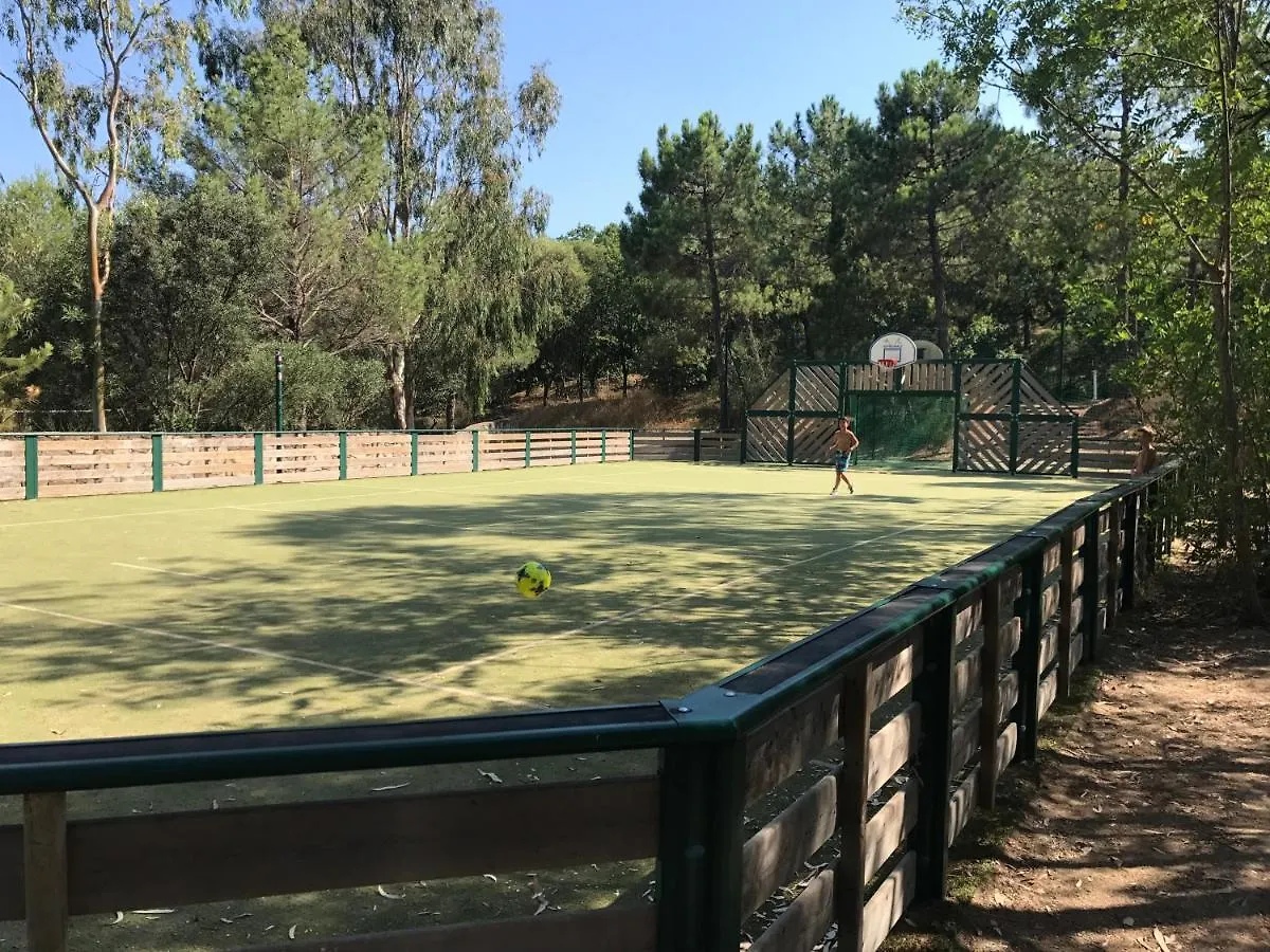 Maison Du Lac Grimaud Holiday home